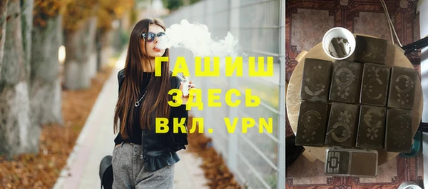 хмурый Арсеньев