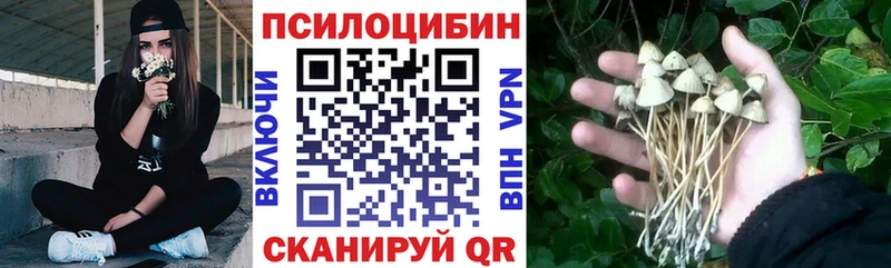 гидра онион  Усть-Катав  Псилоцибиновые грибы GOLDEN TEACHER  купить наркотики цена 